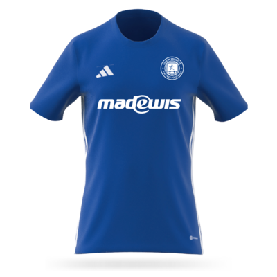 MAILLOT ADI BLEU ROI CASTRES 26-27 (2229C)